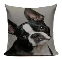 Boston Terrier Dog Face Pillow Cover B19