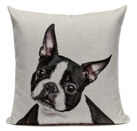Boston Terrier Dog Face Pillow B1