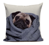 Pug Blanket Dog Pillow Cover DOG16