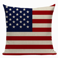 United States Flag Pillow Cover L5