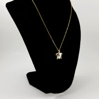Turtle Gold Necklace